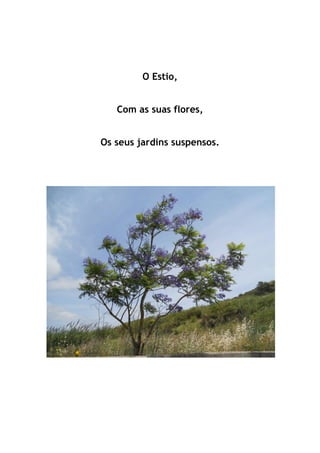 O Estio,
Com as suas flores,
Os seus jardins suspensos.
 
