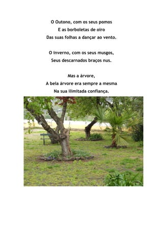 O Outono, com os seus pomos
E as borboletas de oiro
Das suas folhas a dançar ao vento.
O inverno, com os seus musgos,
Seus descarnados braços nus.
Mas a árvore,
A bela árvore era sempre a mesma
Na sua ilimitada confiança.
 