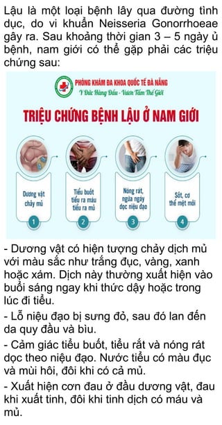 Lậu là một loại bệnh lây qua đường tình
dục, do vi khuẩn Neisseria Gonorrhoeae
gây ra. Sau khoảng thời gian 3 – 5 ngày ủ
bệnh, nam giới có thể gặp phải các triệu
chứng sau:
- Dương vật có hiện tượng chảy dịch mủ
với màu sắc như trắng đục, vàng, xanh
hoặc xám. Dịch này thường xuất hiện vào
buổi sáng ngay khi thức dậy hoặc trong
lúc đi tiểu.
- Lỗ niệu đạo bị sưng đỏ, sau đó lan đến
da quy đầu và bìu.
- Cảm giác tiểu buốt, tiểu rắt và nóng rát
dọc theo niệu đạo. Nước tiểu có màu đục
và mùi hôi, đôi khi có cả mủ.
- Xuất hiện cơn đau ở đầu dương vật, đau
khi xuất tinh, đôi khi tinh dịch có máu và
mủ.
 
