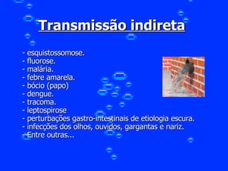 Transmissão indireta   - esquistossomose. - fluorose. - malária. - febre amarela. - bócio (papo) - dengue. - tracoma. - leptospirose - perturbações gastro-intestinais de etiologia escura. - infecções dos olhos, ouvidos, gargantas e nariz. - Entre outras... 