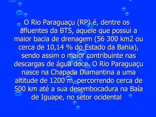 O Rio Paraguaçu (RP) é, dentre os afluentes da BTS, aquele que possui a maior bacia de drenagem (56 300 km2 ou cerca de 10,14 % do Estado da Bahia), sendo assim o maior contribuinte nas descargas de água doce. O Rio Paraguaçu nasce na Chapada Diamantina a uma altitude de 1200 m, percorrendo cerca de 500 km até a sua desembocadura na Baía de Iguape, no setor ocidental  