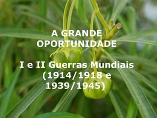 A GRANDE OPORTUNIDADE I e II Guerras Mundiais (1914/1918 e 1939/1945)   