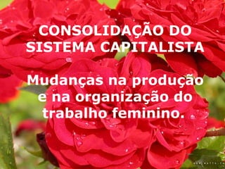 CONSOLIDAÇÃO DO SISTEMA CAPITALISTA Mudanças na produção e na organização do trabalho feminino.   