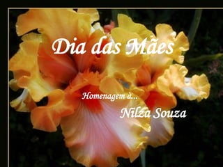 Dia das Mães Homenagem à... Nilza Souza 
