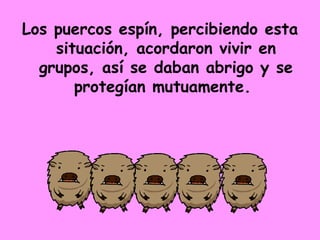 Los puercos espín, percibiendo esta situación, acordaron vivir en grupos, así se daban abrigo y se protegían mutuamente.  
