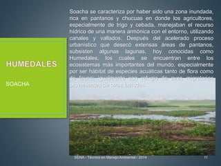 SOACHA
Soacha se caracteriza por haber sido una zona inundada,
rica en pantanos y chucuas en donde los agricultores,
especialmente de trigo y cebada, manejaban el recurso
hídrico de una manera armónica con el entorno, utilizando
canales y vallados. Después del acelerado proceso
urbanístico que desecó extensas áreas de pantanos,
subsisten algunas lagunas, hoy conocidas como
Humedales, los cuales se encuentran entre los
ecosistemas más importantes del mundo, especialmente
por ser hábitat de especies acuáticas tanto de flora como
de fauna; igualmente son refugio de aves migratorias
provenientes de otras latitudes.
SENA - Técnico en Manejo Ambiental / 2014 11
 