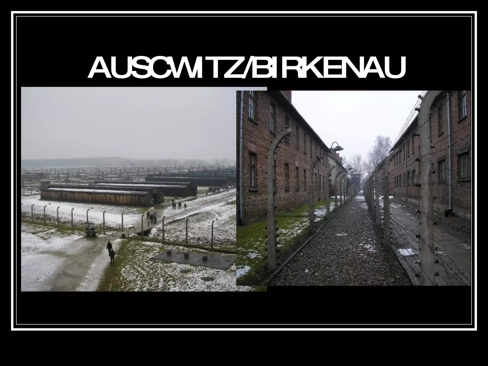 AUSCWITZ/BIRKENAU