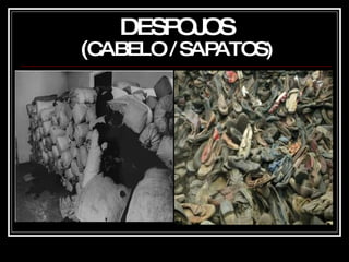 DESPOJOS ( CABELO / SAPATOS) 