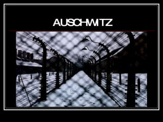 AUSCHWITZ 