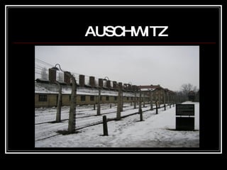 AUSCHWITZ 