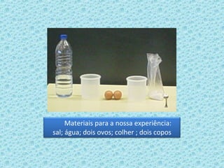 Materiais para a nossa experiência: sal; água; dois ovos; colher ; dois copos 