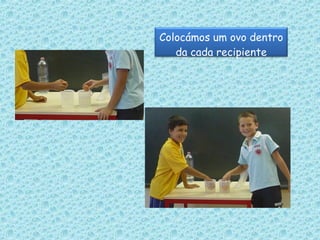 Colocámos um ovo dentro da cada recipiente 