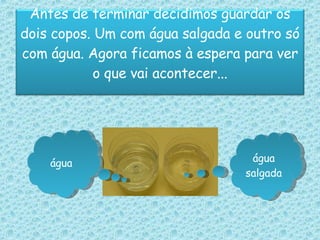 água água salgada Antes de terminar decidimos guardar os dois copos. Um com água salgada e outro só com água. Agora ficamos à espera para ver o que vai acontecer... 