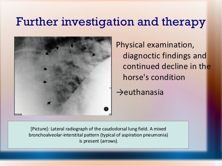 Lipoid pneumonia in an adult horse