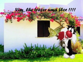 Vim lhe trazer uma flor !!!!
 
