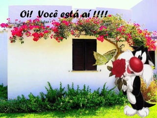 Oi! Você está aí !!!!
Automático/Som
 