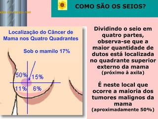 Saúde em tempo real COMO SÃO OS SEIOS? Localização do Câncer de Mama nos Quatro Quadrantes Sob o mamilo 17% Dividindo o seio em quatro partes, observa-se que a maior quantidade de dutos está localizada no quadrante superior externo da mama  (próximo à axila) É neste local que ocorre a maioria dos tumores malignos da mama  (aproximadamente 50%) 