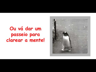 Ou vá dar um passeio para clarear a mente! 