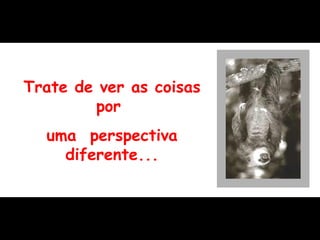 Trate de ver as coisas por  uma  perspectiva diferente... 