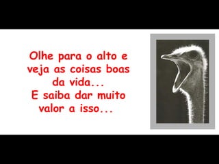 Olhe para o alto e veja  as coisas boas da vida... E saiba dar muito valor a isso ...  