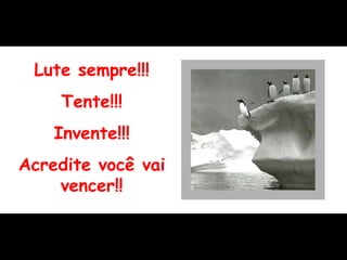 Lute sempre!!! Tente!!! Invente!!! Acredite você vai vencer!! 