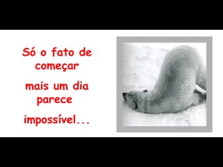 Só o fato de começar mais um dia parece  impossível... 