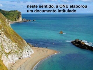 neste sentido, a ONU elaborou um documento intitulado 