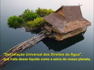 "Declaração Universal dos Direitos da Água",   que trata desse líquido como a seiva do nosso planeta. 