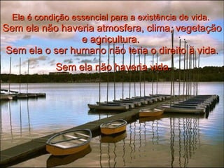Ela é condição essencial para a existência de vida.   Sem ela não haveria atmosfera, clima, vegetação e agricultura.  Sem ela o ser humano não teria o direito à vida. Sem ela não haveria vida. 