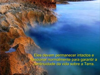 Eles devem permanecer intactos e funcionar normalmente para garantir a continuidade da vida sobre a Terra. 