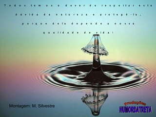 Montagem: M. Silvestre Todos temos o dever de respeitar esta  dávida da natureza e protegê-la, porque dela depende a nossa qualidade de vida! Produções HUMORDATRETA 