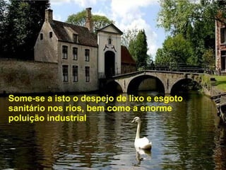 Some-se a isto o despejo de lixo e esgoto sanitário nos rios, bem como a enorme poluição industrial 