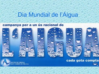 Dia Mundial de l’Aigua 