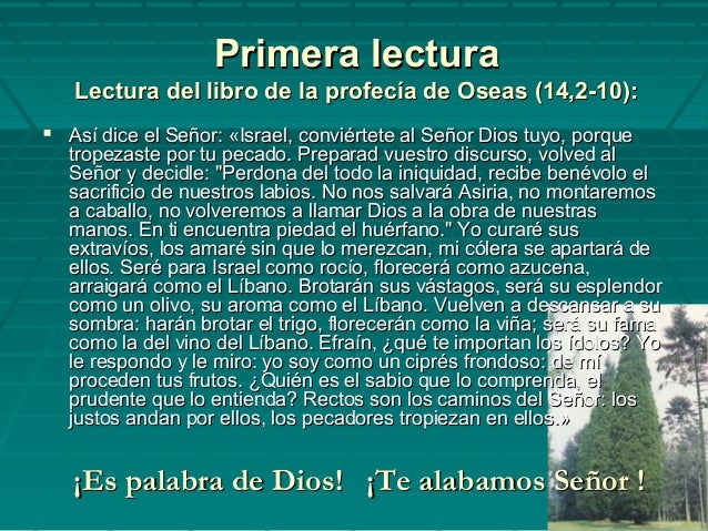 Resultado de imagen para Esto dice el Señor: «Vuelve, Israel, al Señor tu Dios, porque tropezaste por tu falta.