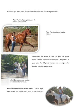 submissió que té cap a ella, baixant el cap, llepant-se, etc. Tenen un gran vincle!
Seguidament ha agafat a Easy, un poltre de quatre
anyets. L’ha tret del pàdock sense cordes i l’ha portat a la
pista gran. Des del primer moment han començat a fer
diversos exercicis, als tres aires.
Passada una estona l’ha estirat al terra i s’hi ha pujat.
L’ha muntat una estona sense brida ni sella i després
Alex i Titan treballant a la pista
rodona.
Alex i Titan realitzant pas espanyol
amb la doma natural.
Alex i Easy, poltre piu, realitzant
exercicis de doma natural.
 