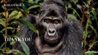 1º Dia: Cruise Week Web 2018