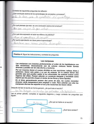 Gontesta las siguientes preguntas de reflexión:
¿QrJé concluyes acerca de los aprendizajes de conceptos y procesos?

lt

i{r,

t"'

ri

r']J

..

r

J

¡¡ ¡ i.t {¡ ¡"¿"ie ¡t

¿Por qué piensas que esa es una conclusión acerca de la lectura?

¿Con qué otra expresión el autor se refiere a la práctica?
'frt./'
Y ,,s'n .§{ :t¿¡tfñni'l;'t rt ¡ t fn toi' ¿f'íil
¿Por qué la ejercitación es clave para el aprendizaje?

n

lu**n

I

§.{ ¡",ri;a,! i

.. {,t'

.

Práctica 4: sigue las instrucciones y contesta las preguntas.

'

Las mariposas
Las mariposas son insecÚos pertenecientes al orden de /os lepidópteros
con
alas esc€rr?osas. Generalmente son de colores vlbúosos tienen formas
diversas y pueden serde vida diurna y nocturna.
Por ser lnsecfos tienen el cuerpo dividido en tres secciones : cabeza, tórax y
abdomen; tienen seis pafas y un par de antenas. En la cabeza tienen dos
g-randes oios que pueden captar la luz ultravioleta; las antenas
actúan como
ó¡_9a.no.s del olfato. Poseen además un conducto alargado y
enrollado como
esp¡ral gue les permite chupar el néctar de las flores yótrosiíquidos.
'En el tórax generalmente poseen dos pares de alas, las cuales necesitan
alcanzar cierta temperatura para empezar a volár. pala citeiarlus aras
,as
mariposas diurnas las exponen al sol y las nocturnas las hacen vibrar.

Después de leer el escrito en forma general,
¿de qué trata el escrito?
^A
')oF
(truc
1t,,lt,¡-,nr^n
n,i, .,,],iir.,. .. 1,.

, ,,, I , ,,, I

Lee el primer párrafo, completa el siguiente diagrama

siguen.

[,

..r-',1-,,

y luego contesta las

^,.

preguntas que

¿De qué se habla en el escrito?

l¿,§,'i{trf

*E*

¿Qué tipos existen?

73

 