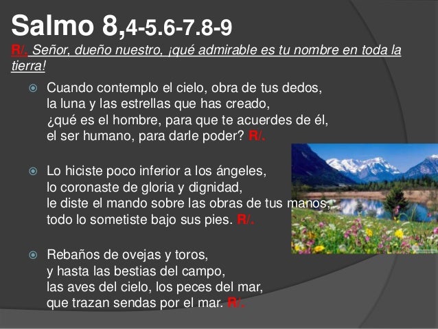 Resultado de imagen para Señor, dueño nuestro, ¡qué admirable es tu nombre en toda la tierra!