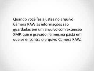 Quando você faz ajustes no arquivo
Câmera RAW as informações são
guardadas em um arquivo com extensão
XMP, que é gravado na mesma pasta em
que se encontra o arquivo Camera RAW.

 