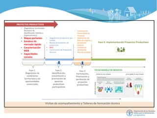 • Diagnósticos territoriales
(formatos de
identificación familias y
Organizaciones)
• Mapas parlantes
• Sondeos de
mercado rápido
• Caracterización
MER
• Capacidades
sociales
Fase 4. Implementación Proyectos Productivos
Fase 1.
Diagnóstico de
condiciones
territoriales y de
oportunidades
comerciales
PROYECTOS PRODUCTIVOS
Fase 2.
Identificación,
concertación y
priorización de
apuestas
productivas
participativas
• Diagnósticos productivos por
Familia
• Núcleo participativos de
producción
• MER
• Construcción de Propuestas
técnicas
Fase 3.
Formulación,
Priorización y
aprobación de
proyectos
productivos
• Construcción
Fichas Perfil de
Proyecto
• Generación de
ficha de negocio y
propuestas
técnicas
• Comités de
aprobación
• Plan de compras
Ficha Modelo de Negocio
Visitas de acompañamiento y Talleres de formación técnica
 