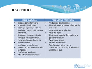 SOCIO-CULTURAL PRODUCTIVO-AMBIENTAL
• Relación con el territorio
• Actores institucionales
• Liderazgo y participación de
hombres y mujeres de manera
diferencial.
• Relaciones de género. Quién
hace qué en la comunidad.
• Presencia de organizaciones
• Lo comunitario
• Medios de comunicación
• Referentes culturales de la vida
campesina
• Conflictos y tensiones
• Infraestructura comunitaria.
• Producción de alimentos
• Abastecimiento y comercialización de
alimentos
• Infraestructura productiva
• Acceso a agua
• Situación ambiental del territorio y
gestión del riesgo
• Extracción natural
• Actores productivos
• Relaciones de género en lo
productivo, lo técnico y lo ambiental.
Quién hace qué.
DESARROLLO
 