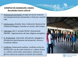 EJEMPLO EN ALMAGUER, CAUCA
Resultados Socio cultural
✓ Pertenenicia territorial: Arraigo territorial evidente
con desplazamientos temporales a Huila por cosecha
café.
✓ Instituciones: Alcaldía, Sena, Federación Nacional de
Cafeteros/Fedegan), Familias en Acción, Red Unidos.
✓ Liderazgo: JAC/ 2 veredas (Peñol y Buenavista)
AMURA , organizaciones de tipo religioso evangélico.
✓ O. Productivas: Asprocafe, Almapicola, Apagigma y
Almaquinua (participantes del proyecto). Amura y
Fundación Alpina.
✓ Conflictos: Polarización política, conflictos entre las
familias por uso de suelo (minería vs. cultivos ilícitos
vs. cultivos comerciales opcionales), violencia de
género contra las mujeres al interior de la familia.
 