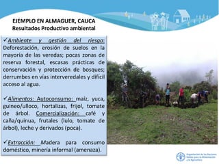 EJEMPLO EN ALMAGUER, CAUCA
Resultados Productivo ambiental
✓Ambiente y gestión del riesgo:
Deforestación, erosión de suelos en la
mayoría de las veredas; pocas zonas de
reserva forestal, escasas prácticas de
conservación y protección de bosques;
derrumbes en vías interveredales y difícil
acceso al agua.
✓Alimentos: Autoconsumo: maíz, yuca,
guineo/ulloco, hortalizas, frijol, tomate
de árbol. Comercialización: café y
caña/quinua, frutales (lulo, tomate de
árbol), leche y derivados (poca).
✓Extracción: Madera para consumo
doméstico, minería informal (amenaza).
 