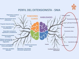 PERFIL DEL EXTENSIONISTA - SNIA
FUNCIONES
CLAVES
Atender requerimientos de los
productores
Desarrollar acciones de
capacitación y transferencia
Diagnosticar el entorno
productivo
Administrar y documentar
información agropecuaria
HABILIDADES
Trabajo en equipo
Liderazgo Participativo
Pensamiento crítico
Comunicación asertiva
Resolución de Conflictos
Gestor de acciones de paz
Capacidad de análisis
Escucha Activa
Empatía
Confidencialidad de la
información
Formar capacidades en
los productores
Proyectar líneas de acción
Promover la participación
de las comunidades
Promover la innovación
tecnológica
Comunicar resultados
obtenidos
Elaborar propuesta de
solución de acuerdo al
diagnostico
Gestionar servicios de
apoyo
 