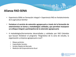 • Experiencia SENA en formación integral + Experiencia FAO en fortalecimiento
de la agricultura familiar
• Fortalecer el servicio de extensión agropecuaria a través de la formación de
extensionistas en temas y metodologías validadas, que permitan incorporar
un enfoque integral y participativo de la extensión agropecuaria
• 4 metodologías/herramientas desarrolladas y validadas por FAO Colombia
que buscan fortalecer el programa “Diagnóstico de la zona de estudio, la
organización y empresa agropecuaria rural”:
• Mapas parlantes
• Capacidades Sociales
• Sondeo Rápido de Mercado
• Medición del Emprendimiento Rural
Alianza FAO-SENA
 