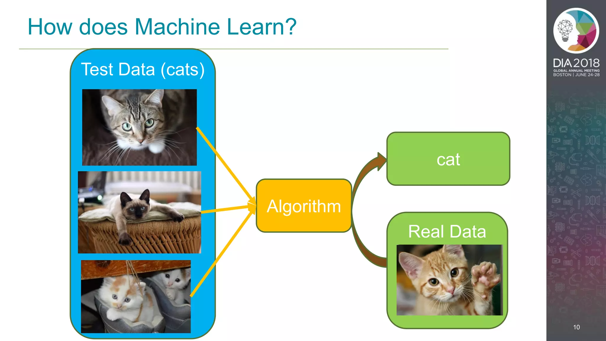 10
How does Machine Learn?
Algorithm
Test Data (cats)
Real Data
cat
 