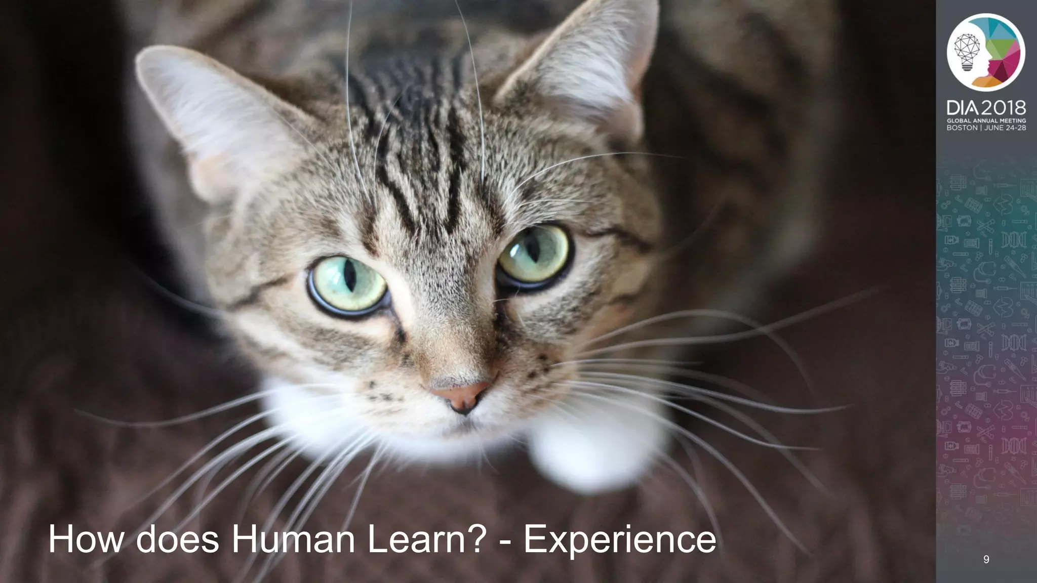 9
How does Human Learn? - Experience
 
