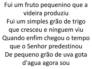 Fui um fruto pequenino que a
       videira produziu
 Fui um simples grão de trigo
  que cresceu e ninguem viu
Quando enfim chegou o tempo
  que o Senhor predestinou
 De pequeno grão de uva gota
      d'agua agora sou
 