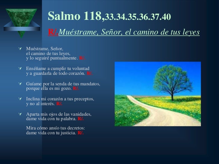 Resultado de imagen para Muéstrame, Señor, el camino de tus leyes Muéstrame, Señor,