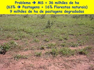 Problema  MS = 36 milhões de ha
(63%  Pastagens + 16% Florestas naturais)
  9 milhões de ha de pastagens degradadas
 